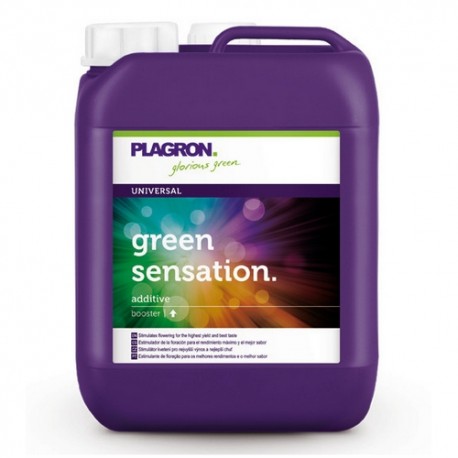 Green Sensation Garrafa · Plagron