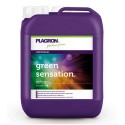 Green Sensation Garrafa · Plagron
