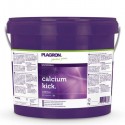 Calcium Kick 5Kg · Plagron