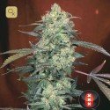 AK-47