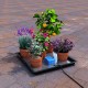 Kit Easy2Go · Autopot