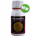 Muskaria · Agrobacterias