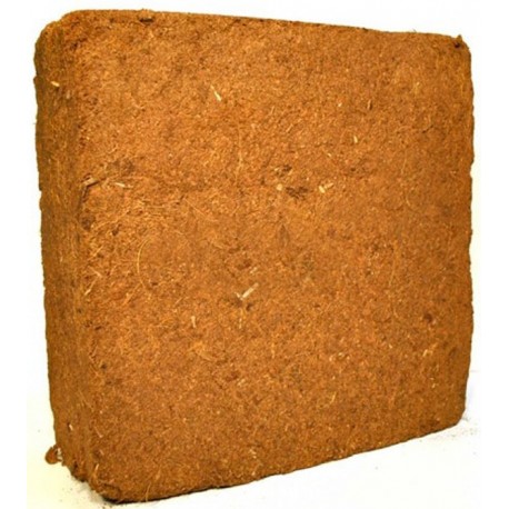 Fibra de Coco 5 kg