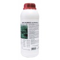 Bachumus Ecohemp F · Trabe