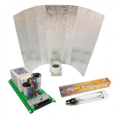 Kit Pure Light V2 600 W