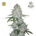 Gorilla Glue Auto