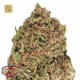 Dream Machine · Heavyweight Seeds