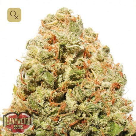 Strawberry Cake · Heavyweight Seeds
