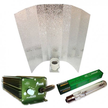 Kit electrónico BOLT 600W