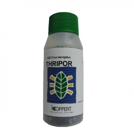 Thripor-L · Koppert