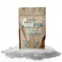 Enhancer · Powder Feeding