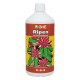 Ripen · GHE