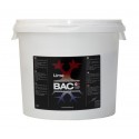 Lime Chalk · B.A.C