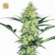 White Diesel · White Label