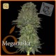 Meganuska · Elite Seeds