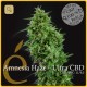 Amnesia Haze Ultra CBD · Elite Seeds