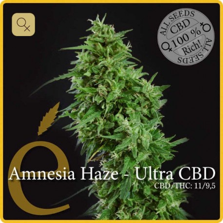 Amnesia Haze Ultra CBD · Elite Seeds
