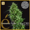 Amnesia Haze Ultra CBD