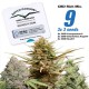 CBD Feminized Mix