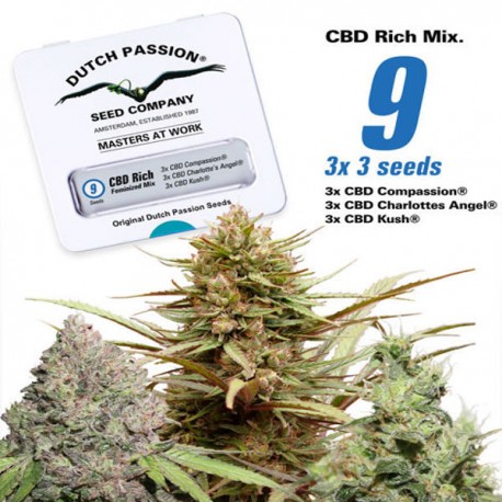 CBD Feminized Mix