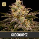 Chocolopez