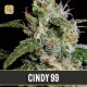 Cindy 99 · Blimburn