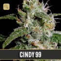 Cindy 99