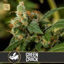 Green Crack