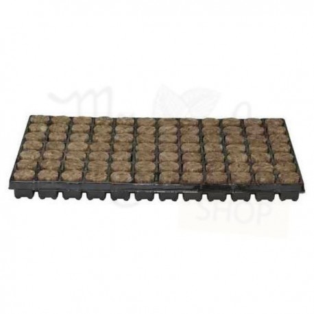Bandeja 84 Alveolos 38x40mm Speedgrow