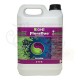Flora Duo Bloom 5 L · GHE