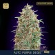 Auto Purple Diesel