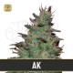 AK Auto · Blimburn