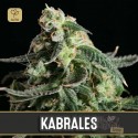 Kabrales Auto