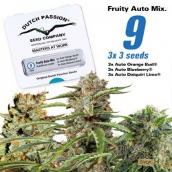 Fruity Autoflower Mix