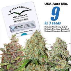 USA Autoflower Mix