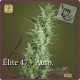 Elite 47 Auto · Elite Seeds