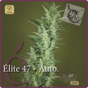 Elite 47 Auto