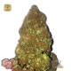 Jackpot Auto · Heavyweight Seeds