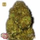 Skunky Monkey Auto · Heavyweight Seeds