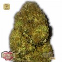 Skunky Monkey Auto