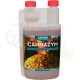 Cannazym · Canna