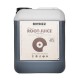 Root Juice Garrafa · BioBizz