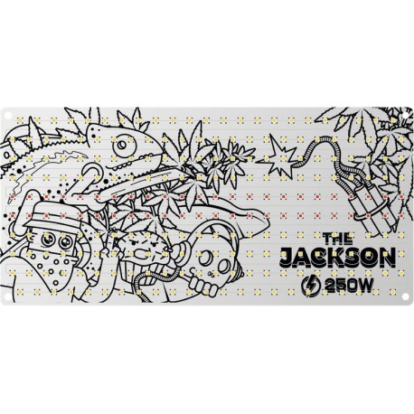 The Jackson 250W