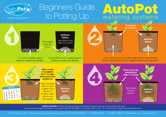 Autopot beginner tip.jpeg